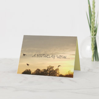 Cartão Gorgeous Birthday Card