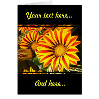 Cartão Gorgeous Gazania