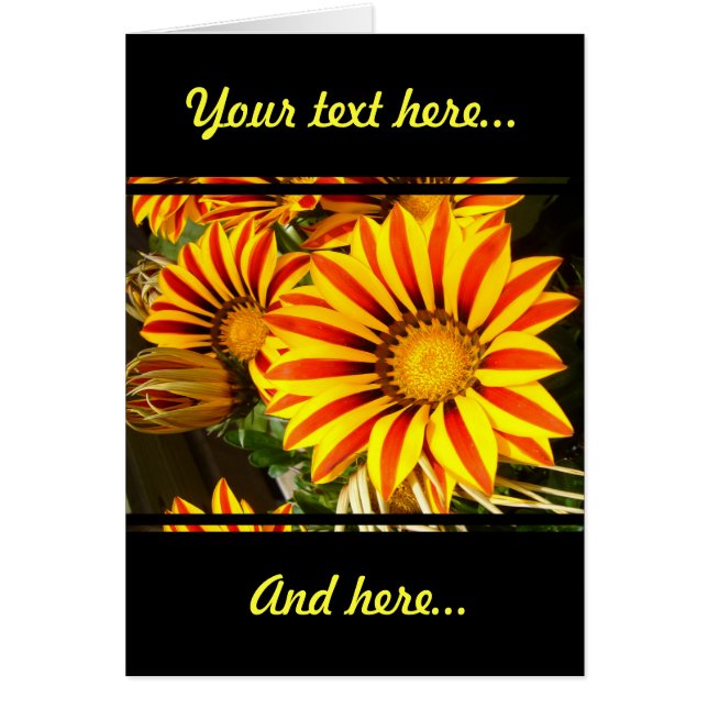 Cartão Gorgeous Gazania (Frente)