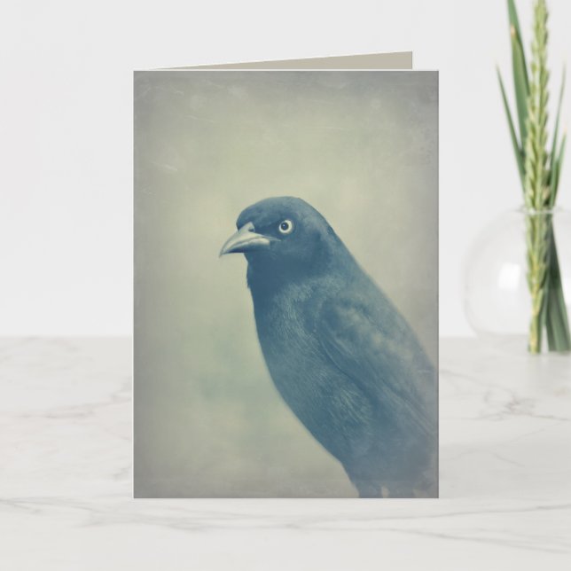 Cartão Gorgeous Raven Photo (Frente)