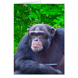 Cartão Gorila