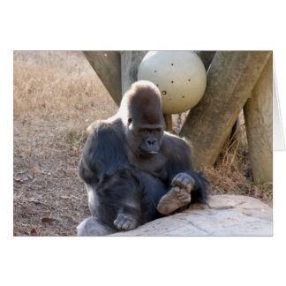 Cartão Gorila_007