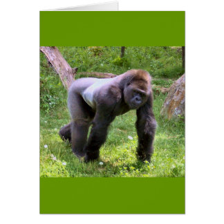 Cartão Gorila nº 1