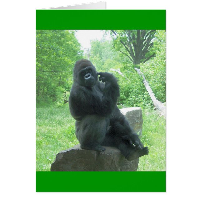 Cartão Gorila nº 3 (Frente)