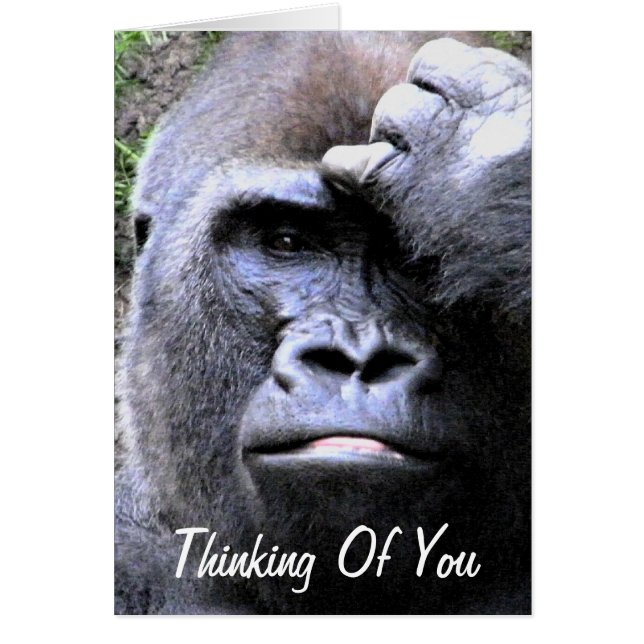 Cartão Gorilla_ (Frente)