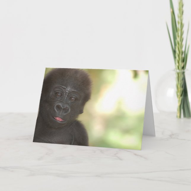 Cartão Gorilla Baby Blank Note Card (Frente)