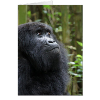 Cartão Gorilla meus sonhos - fêmea