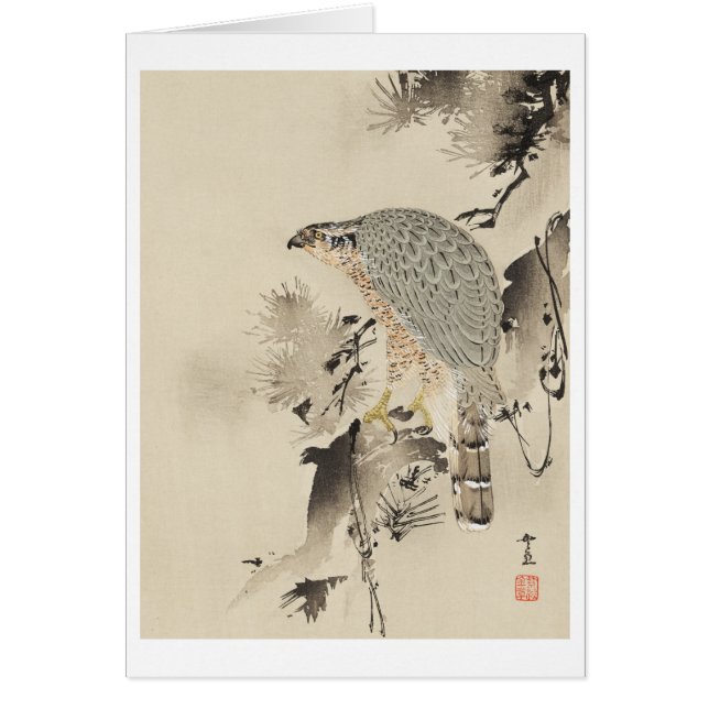 Cartão Goshawk asiático - 1890 (Frente)