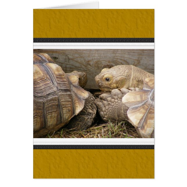 Cartão Gossies Antigos (Frente)