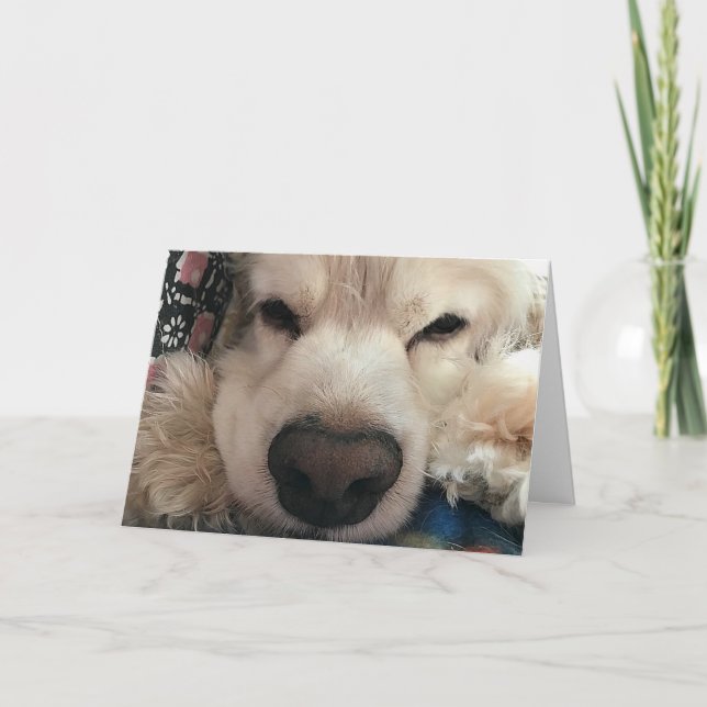 CARTÃO GOSTARIA DE "VER VOCÊ" PARA O SEU ANIVERSÁRIO (Frente)