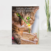 Got you a laser cat for your birthday.