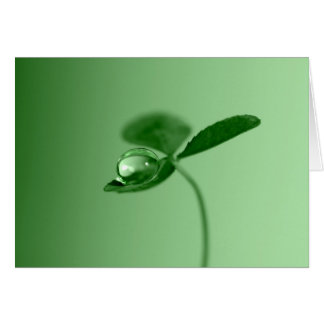 Cartão Gota de orvalho da manhã