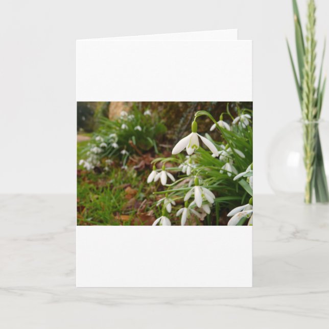 Cartão Gotas da neve (Frente)