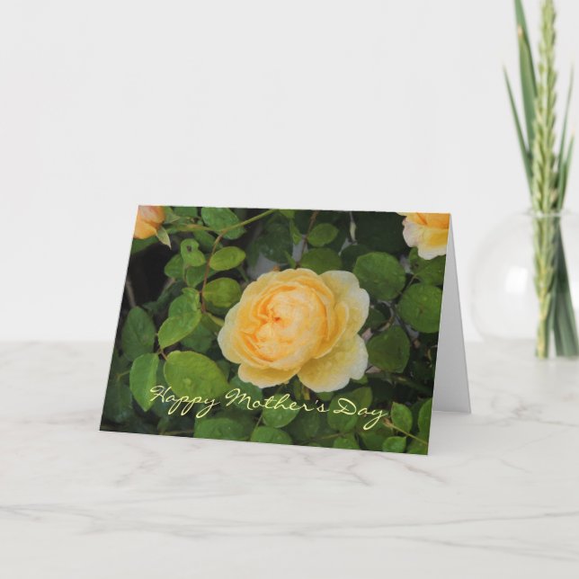 Cartão Gotas de chuva na placa de Dia de as mães Rosa Ama (Frente)