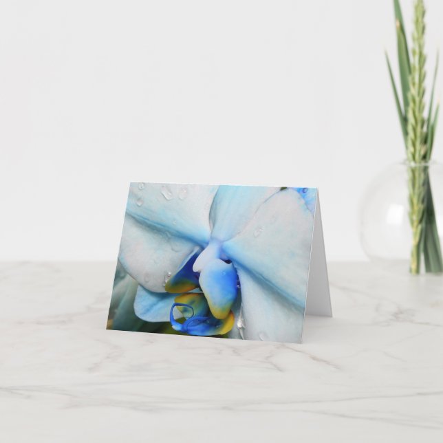 Cartão Gotas na Orquídea Azul (Frente)