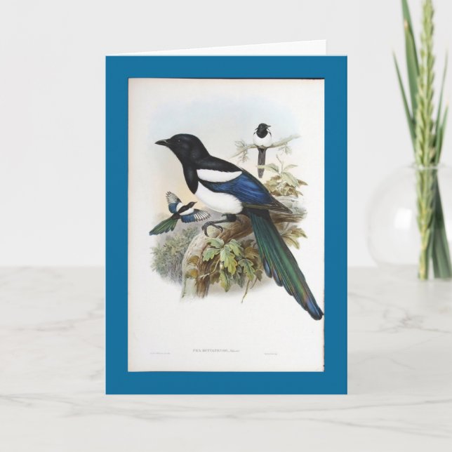 Cartão Gould - Bootan Magpie (Frente)