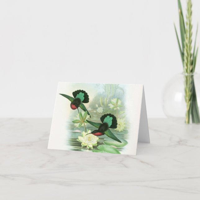 Cartão Gould Hummingbirds Waterlilies Note Cards (Frente)
