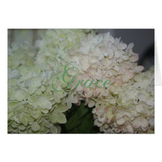 Cartão Grace Hydrangea