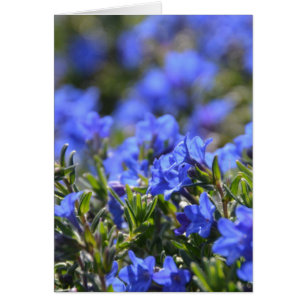 Cartão Grace Ward Flower