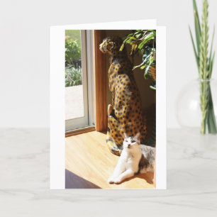 Cartão Gracey and Bad Kitty Sunbathing