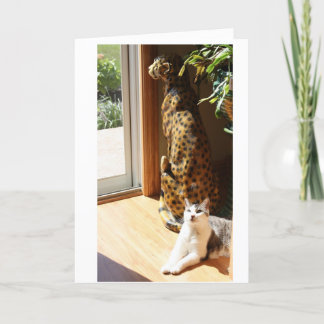 Cartão Gracey and Bad Kitty Sunbathing