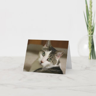 Cartão Gracey, The Tiniest Tiger Note Card