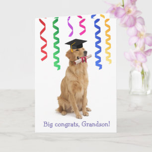 Cartão Graduação de Cão Cute do neto