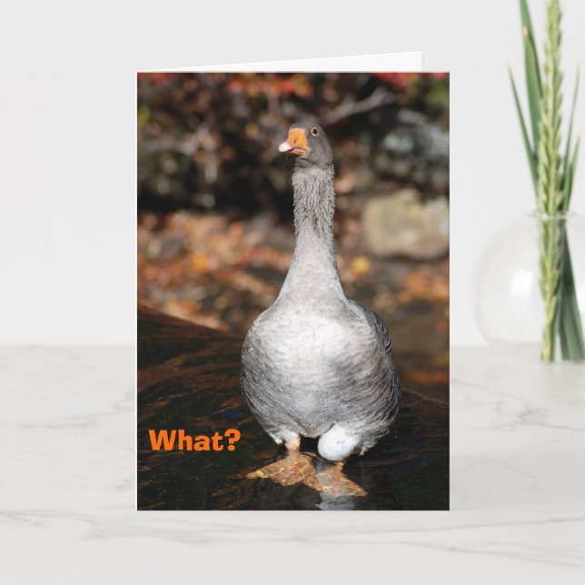 Cartão Graduation (Frente)