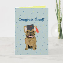 Graduation, Congrats Grad! French Bulldog