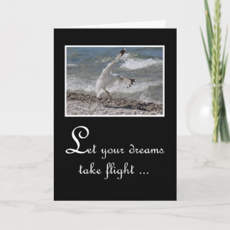 Cartão Graduation Congratulations - Seagull Taking Flight