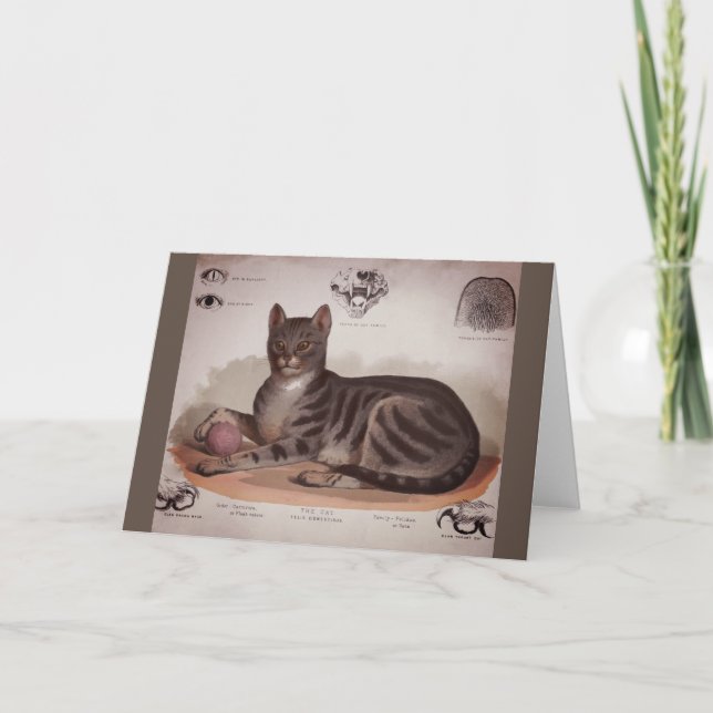 Cartão Gráfico de Gato Antigo (Frente)