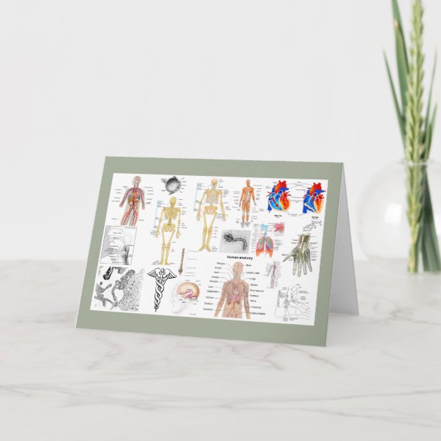 Cartão Gráficos Médicos cor completa (Frente)