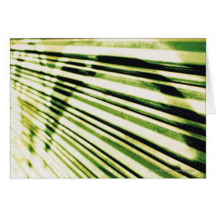 Cartão Grafites em um obturador