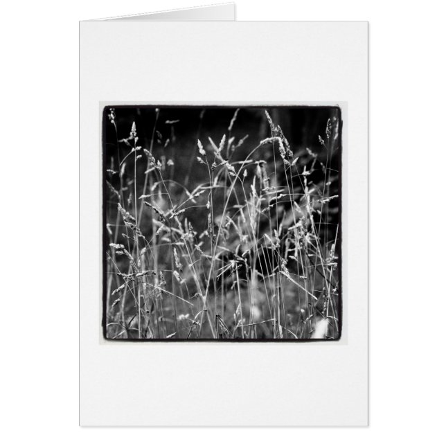 Cartão Grama (Frente)