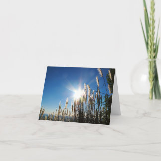 Cartão Grama bonita Notecard da manhã