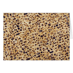 Cartão Grama do Matzah de Shemura