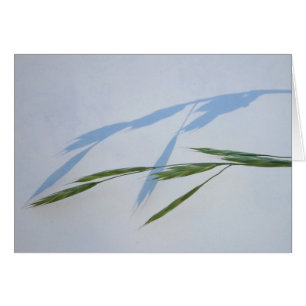 Cartão Grama e sombra