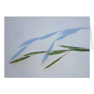 Cartão Grama e sombra