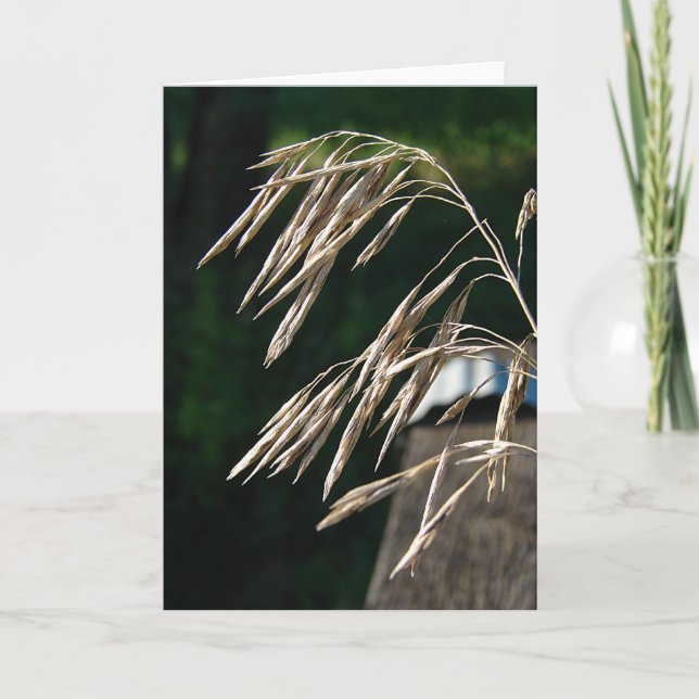 Cartão Grama Foi Para A Semente (Frente)