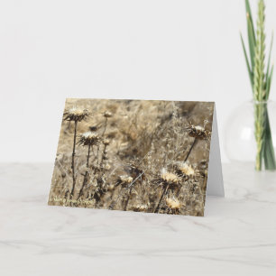 Cartão Grama seca