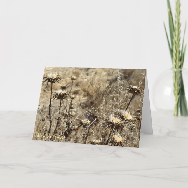 Cartão Grama seca (Frente)