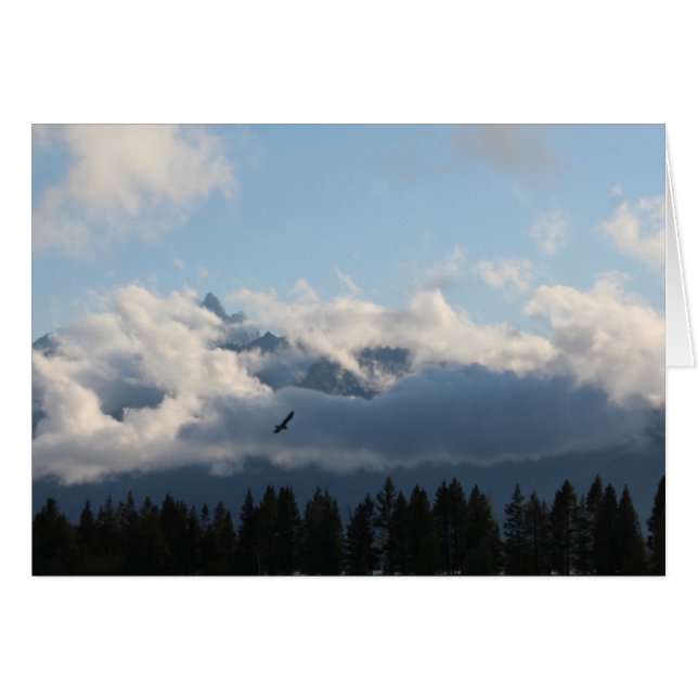 Cartão Grand Tetons e falcão (Frente Horizontal)