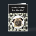 Cartão Granddaugher Don't look Sad Birthday Pug Pet Dog<br><div class="desc">Another Birthday card humor for Granddaughter who love Pugs,  Pet Dog</div>