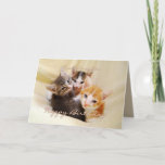 Cartão Granddaughter Happy Birthday Trio of Kittens<br><div class="desc">This card featuring three adorable kittens is perfect for a granddaughter's birthday.  See other Fuzzyball cards for age-specific birthdays and birthday cards for other family members. "Dearest Granddaughter,  Hope you have a purr-fectly meow-velous birthday! Hugs and kisses!"</div>