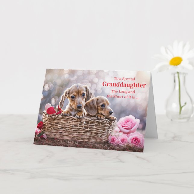 Cartão Granddaughter Happy Valentines Day Cute Puppy Dogs (Planta pequena)