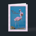 Cartão Granddaughter's Birthday Card with Pink Flamingo<br><div class="desc">These gorgeous pink American Flamingos were photographed in Orange County,  Florida.  They make a terrific birthday card for someone very special.</div>