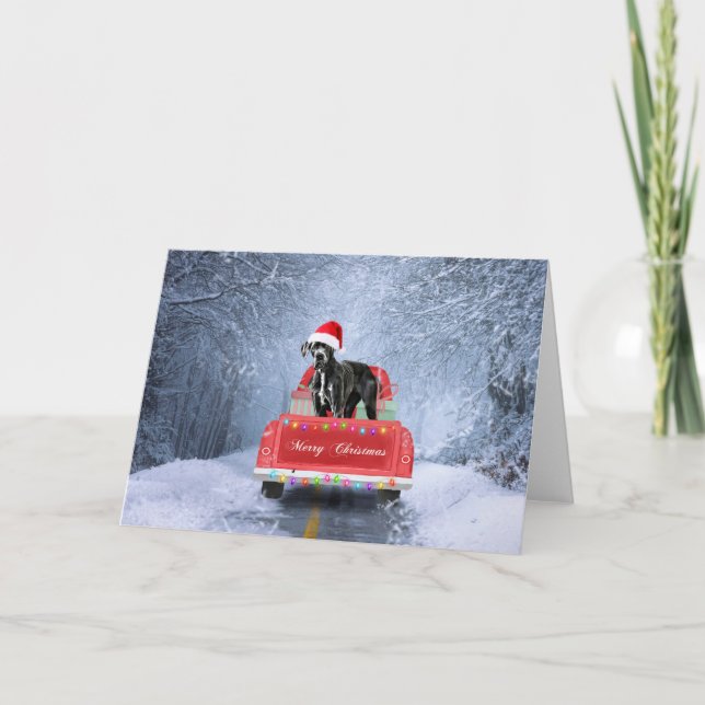 Cartão Grande cão dinamarquês em neve sentado no Caminhão (Frente)