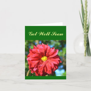 Cartão "Grande Dália Vermelha com Centro 'Button' Amarelo