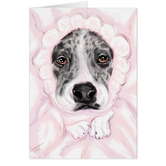 Cartão Grande Dane Baby Mantled Merle Girl Anunciou (Frente)