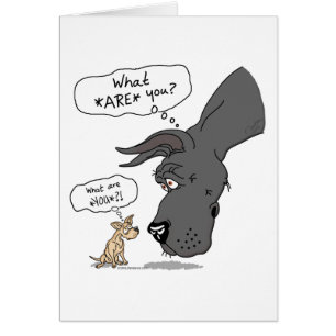 Cartão Grande Dane e Chihuahua Black